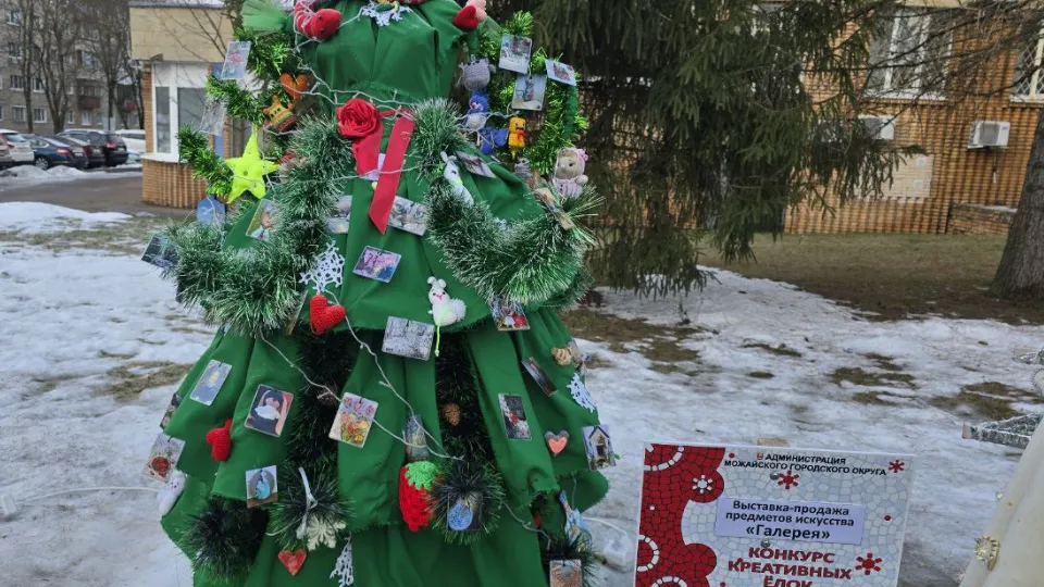 Фото: МедиаБанк Подмосковья/Яна Шаливская