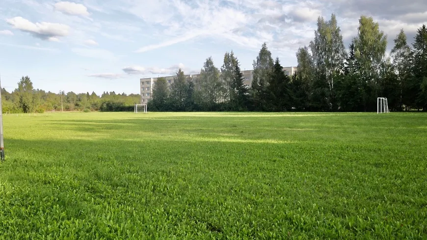 Фото: freepik.com