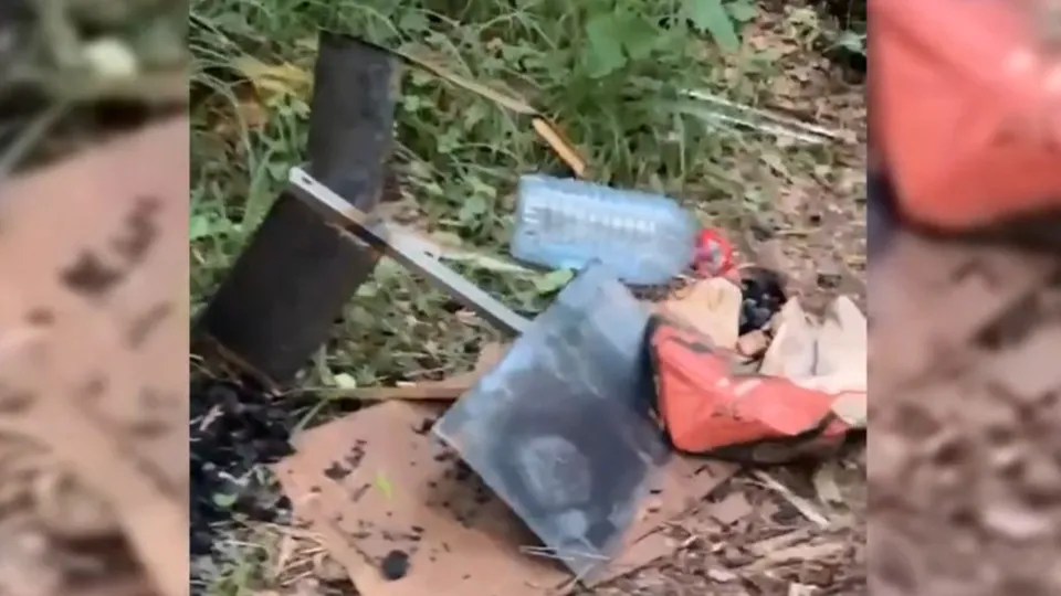 Фото: скриншот из видео