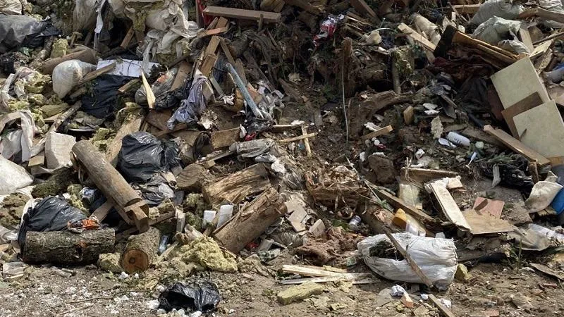 Фото: Минэкологии МО