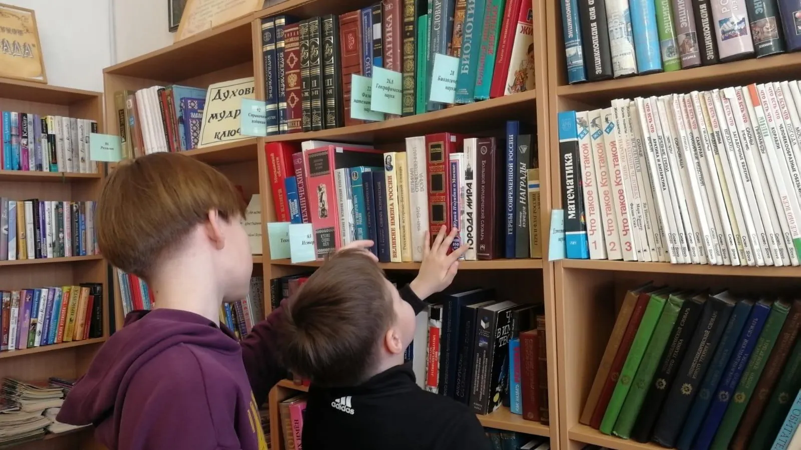 Фото: Лужниковская библиотека