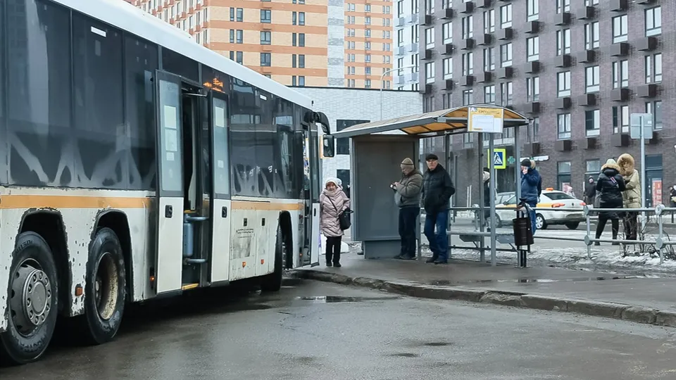 Фото: медиасток.рф