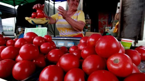 Области нужно больше сельхозярмарок – Буцаев