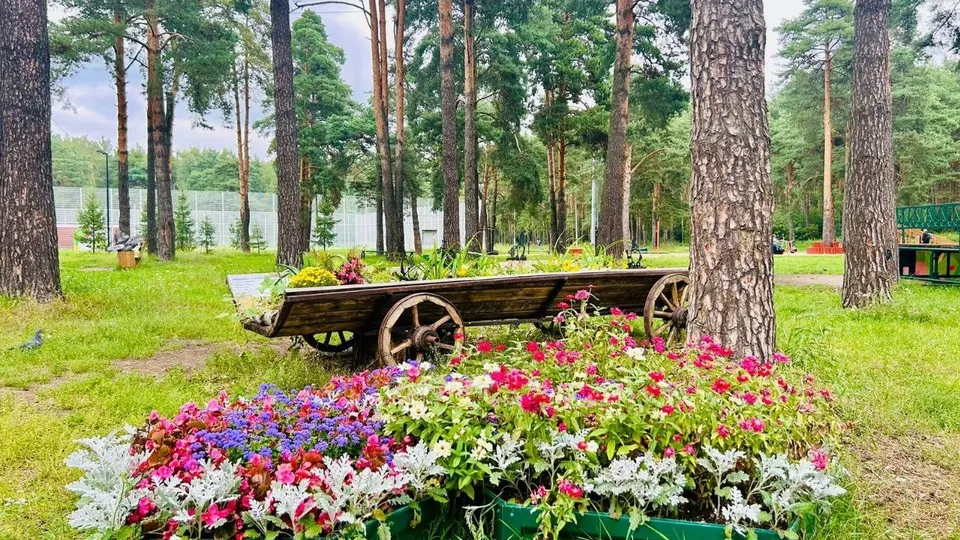 Фото: пресс-служба Администрации г.о. Котельники