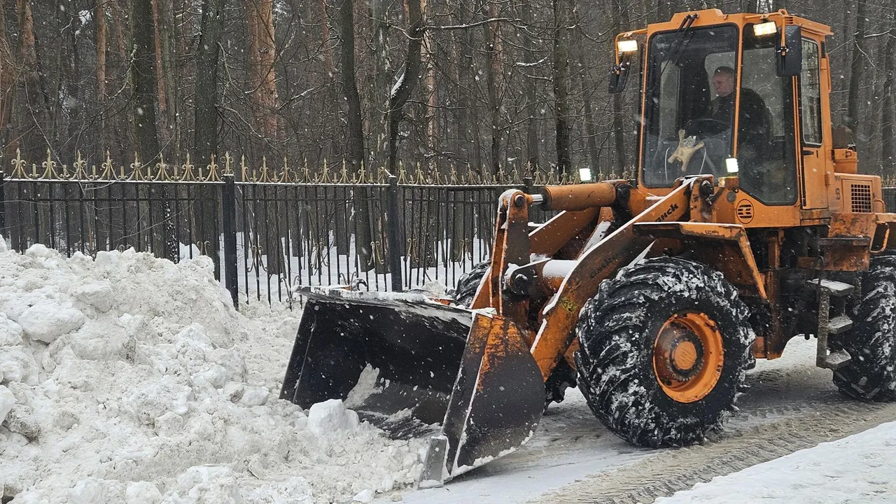 МедиаБанк Подмосковья/Ольга Вельшикаева