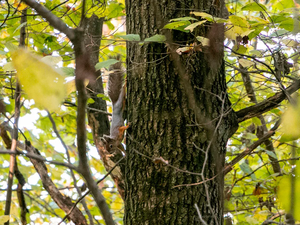 Фото: личный архив Евгения Мазепова