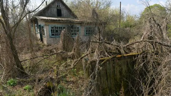 На «мумию» наткнулись в заброшенном дачном домике в Клину
