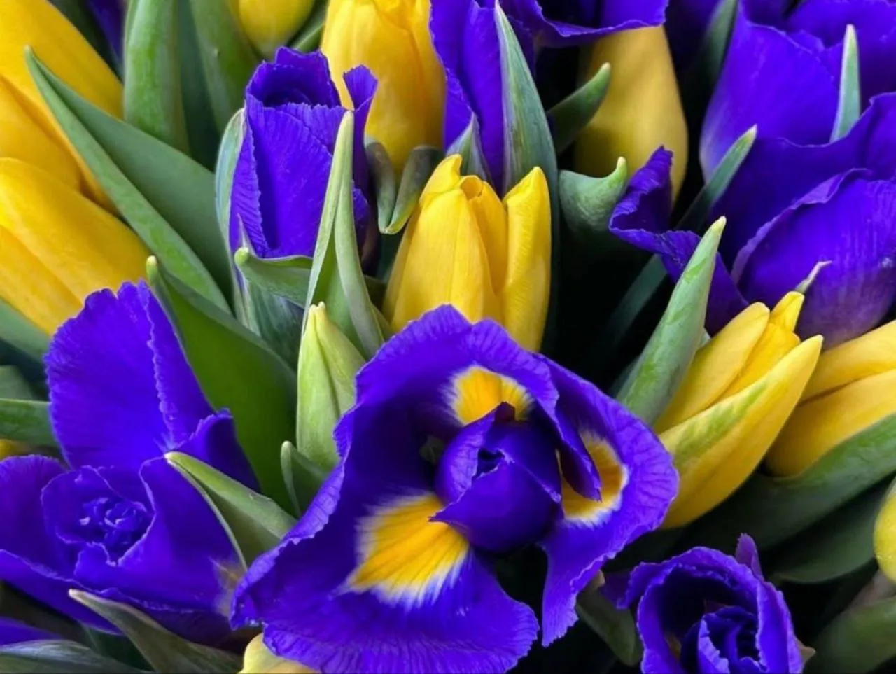 Фото: предоставлено Мариной Пановой