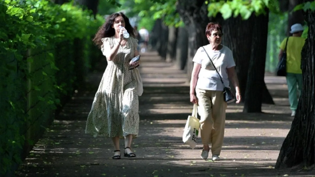 Жителям Подмосковья пообещали жаркую погоду в понедельник