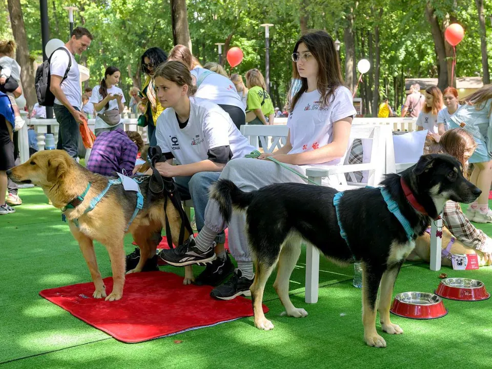 Фото: пресс-служба администрации г. о. Подольск