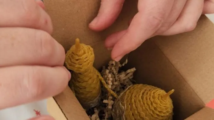 Фото: ТГ-канал проекта «Активное долголетие»