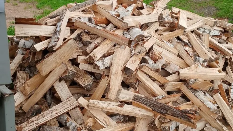 Фото: пресс-служба администрации Сергиево-Посадского г.о.