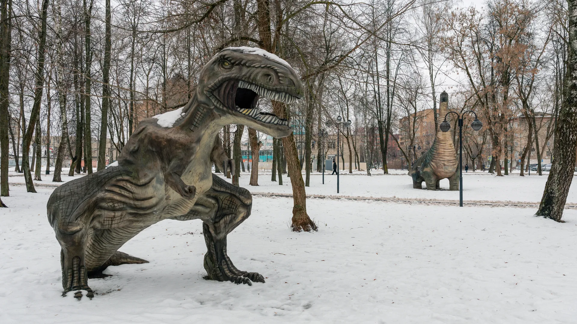 Появление службы отлова бродячих динозавров в Мытищах вызвало противоречивые отзывы горожан