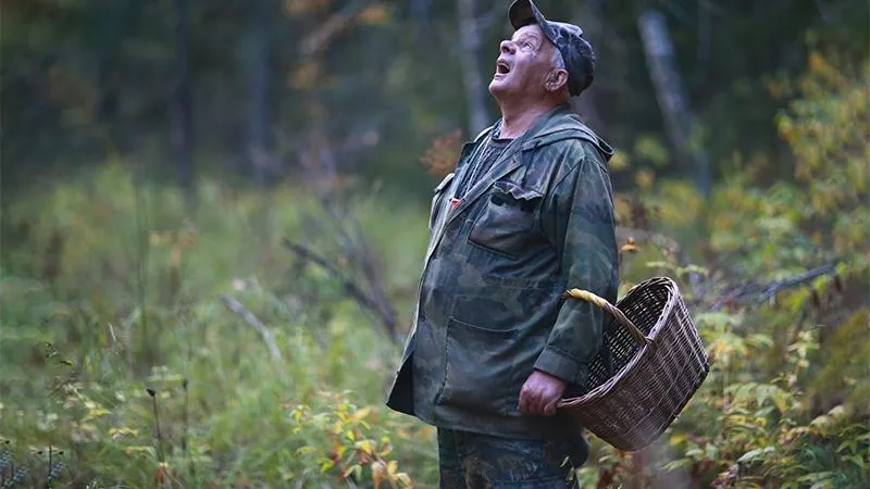 Что нужно делать, если вы заблудились в лесу