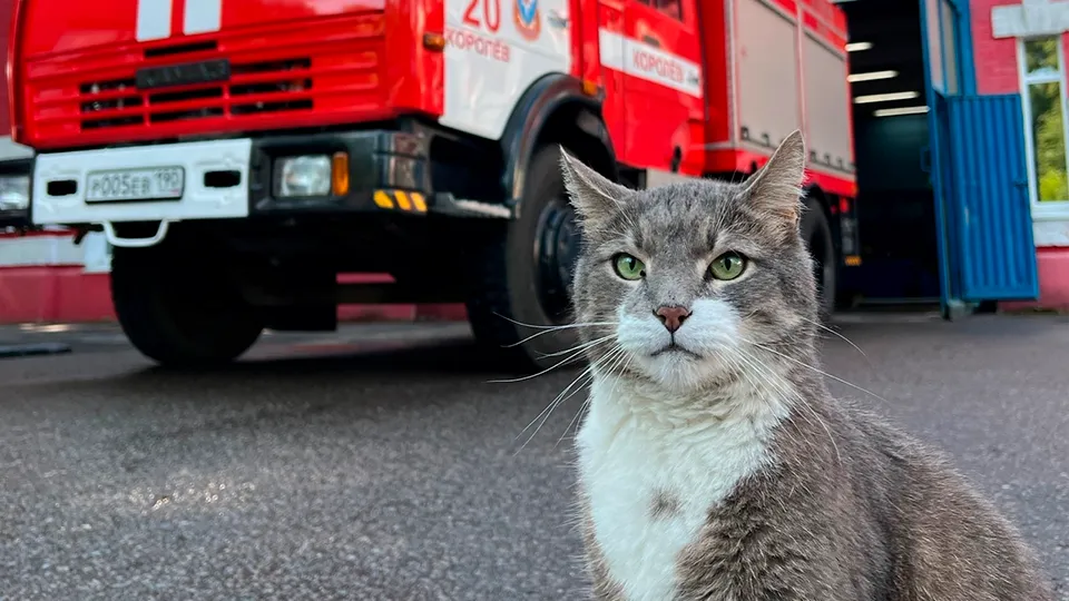 Фото: личный архив Галины Визгаловой