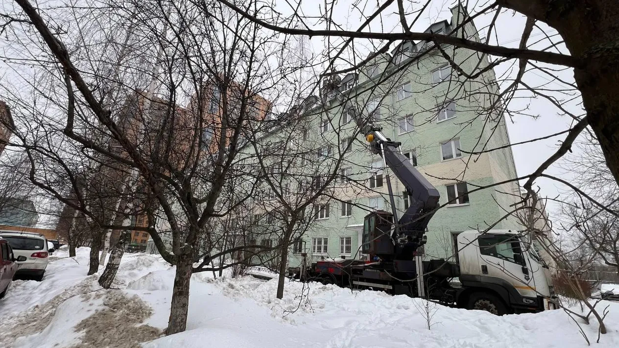 Фото: А.Нелидова