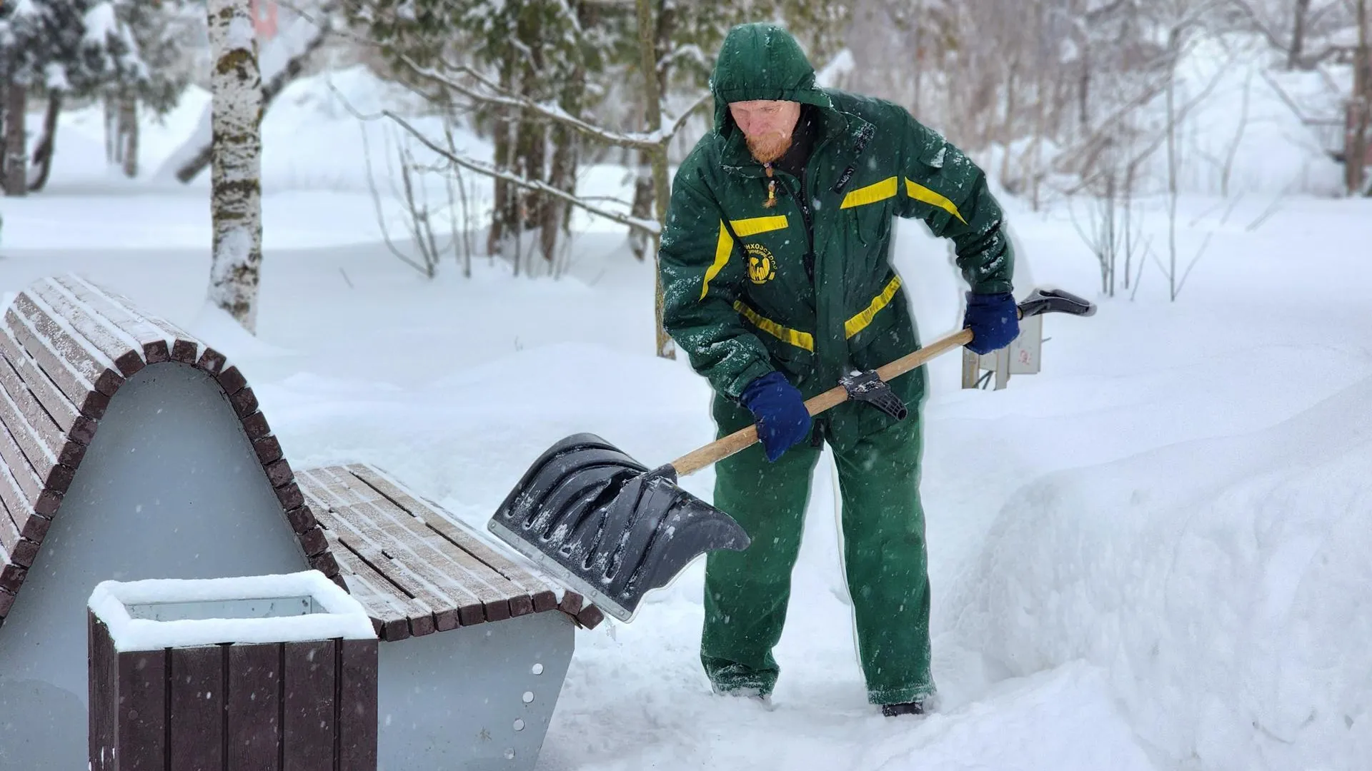 REGIONS/Елена Шумакова