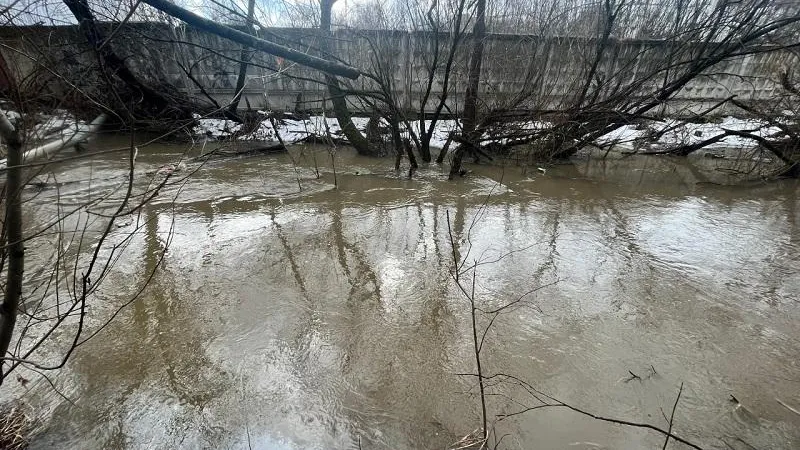 Участок находится в водоохранной зоне/фото: Минэкологии МО