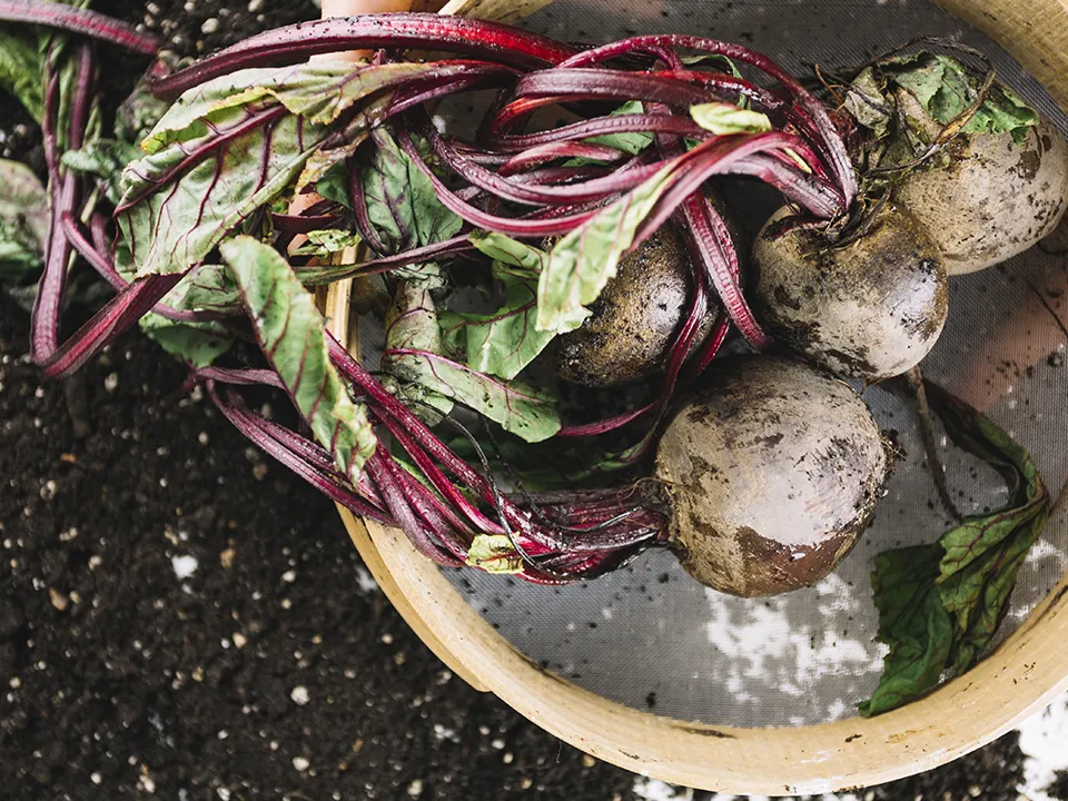 Фото: freepik.com