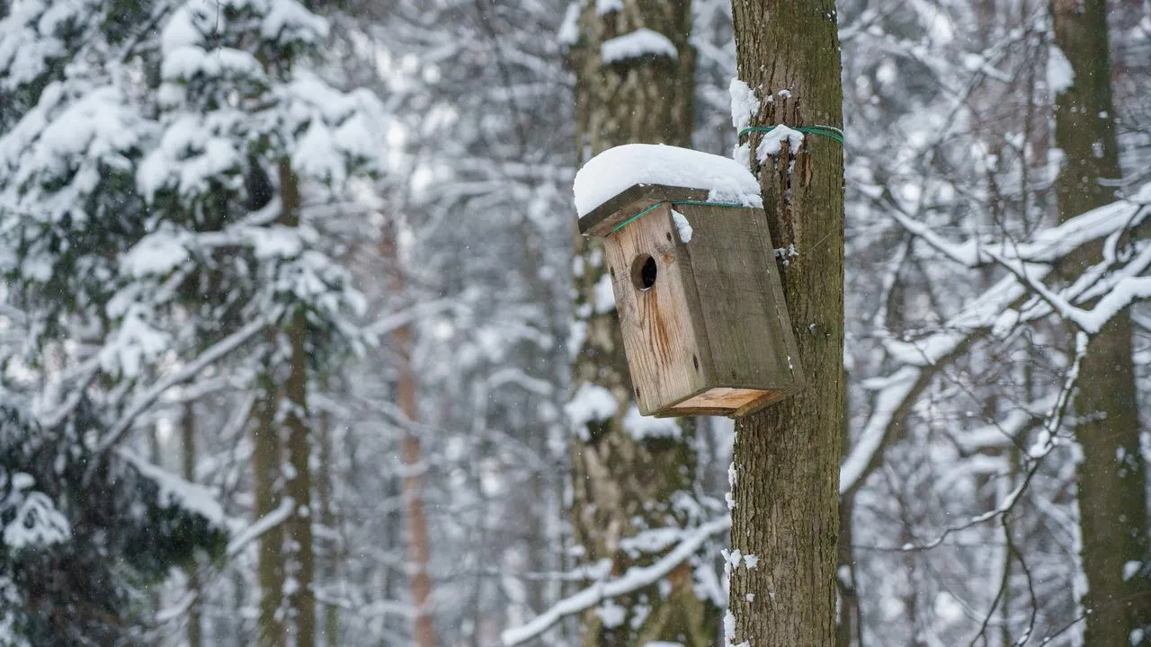 медиасток.рф