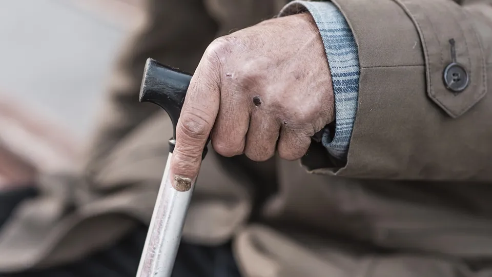 Фото: freepik.com