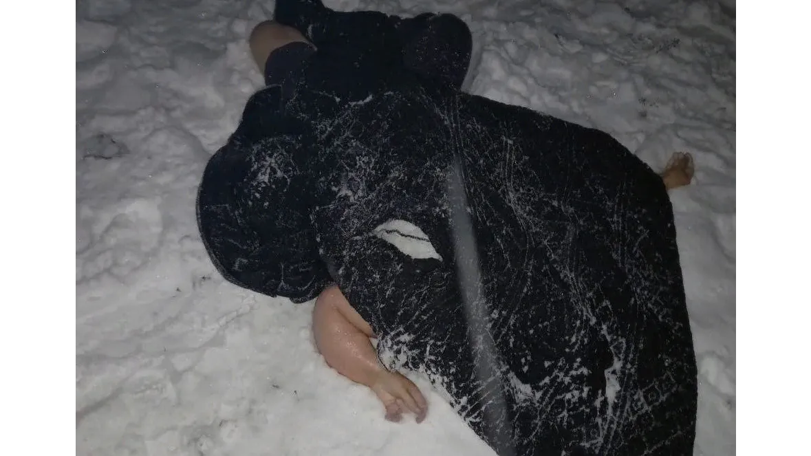 Фото: ЕДДС Орехово-Зуевского г. о.