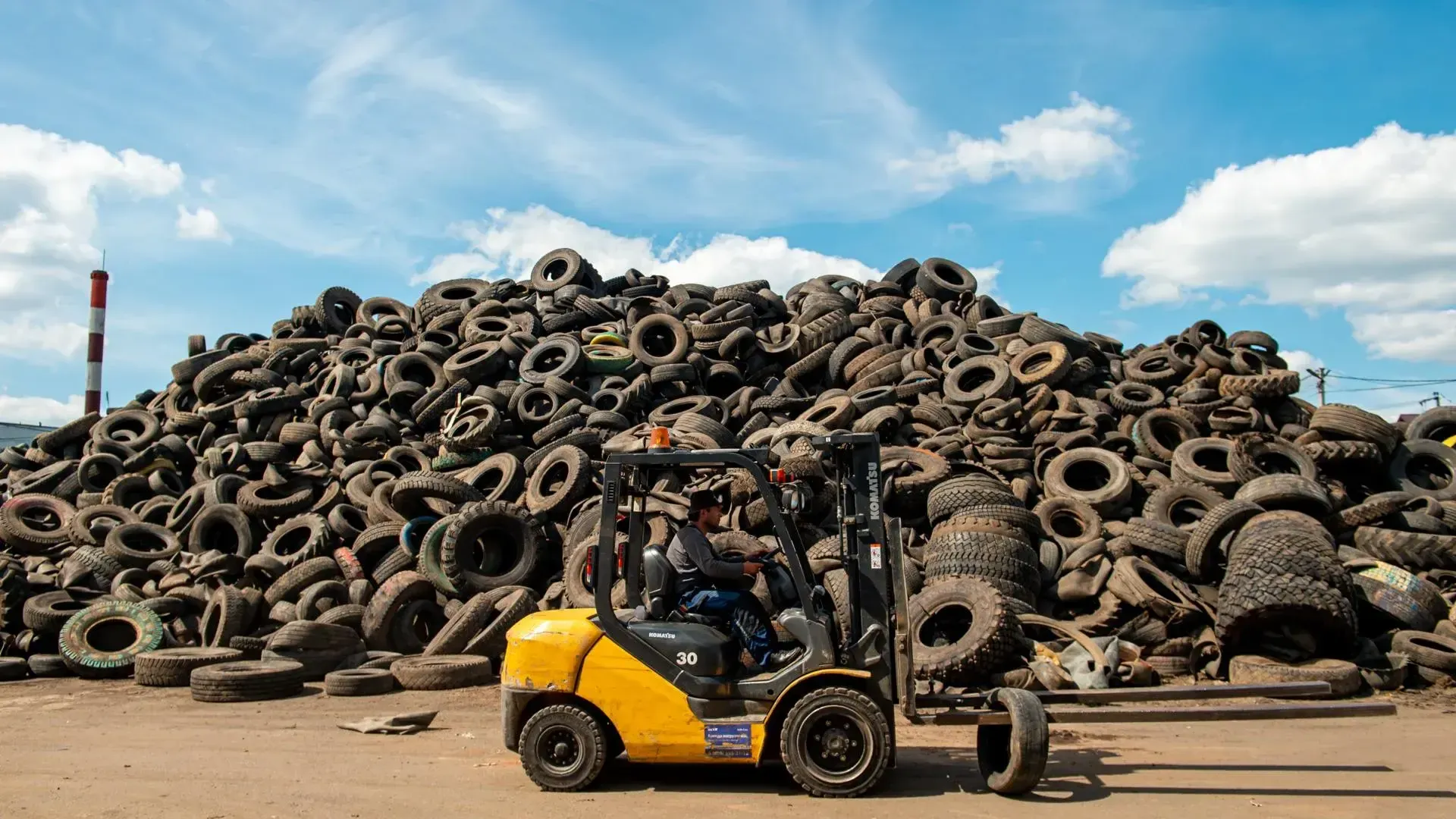 Фото: Мария Шуревская, фотобанк МО
