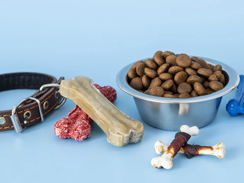 Фото: freepik.com