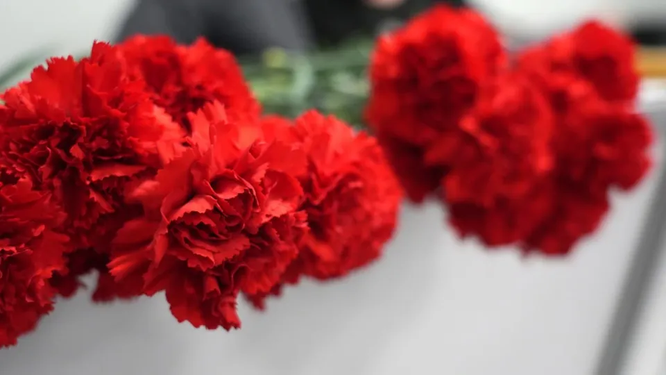 Фото: МедиаБанк Подмосковья/Дмитрий Зайчиков