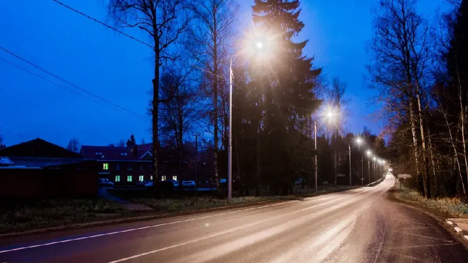 Фото: Министерство благоустройства Московской области