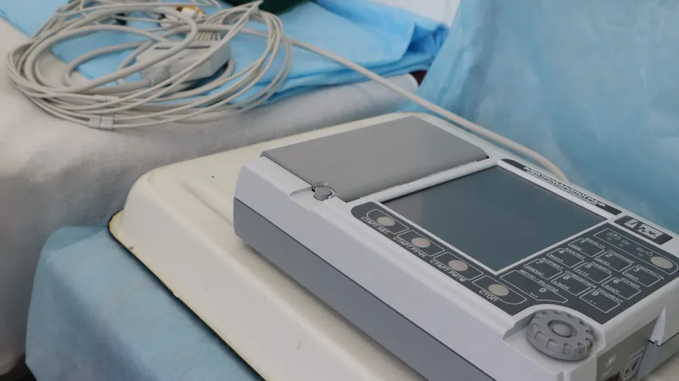 Фото: Медиабанк Подмосковья/Ирина Матвеева