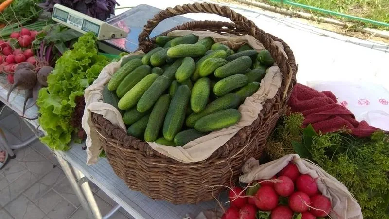 Минпотребрынка МО