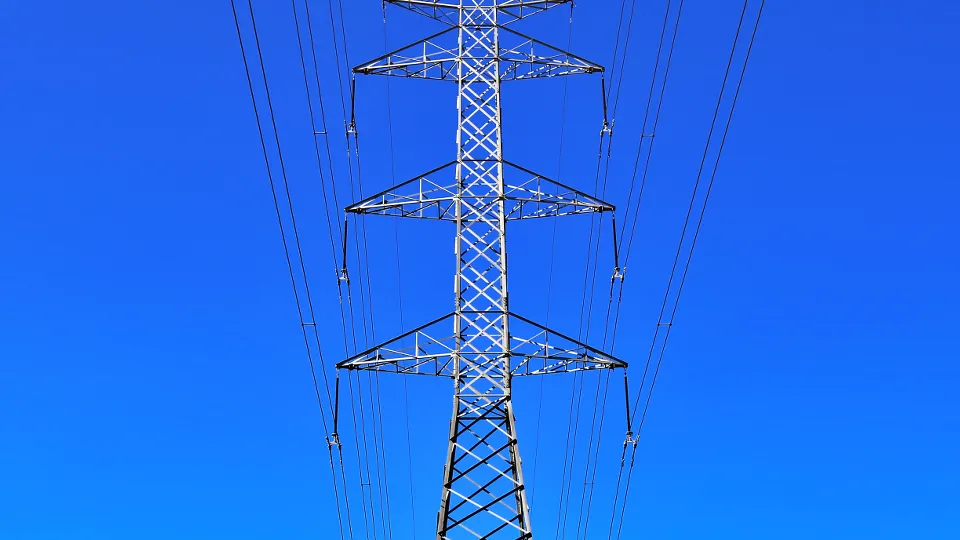 Фото: pxhere.com