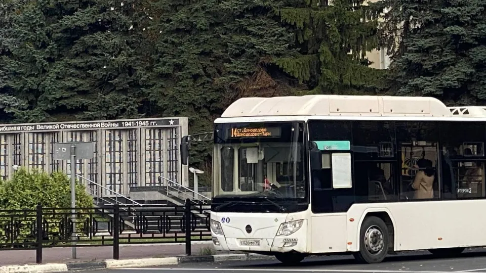 Фото: Анастасия Сараева