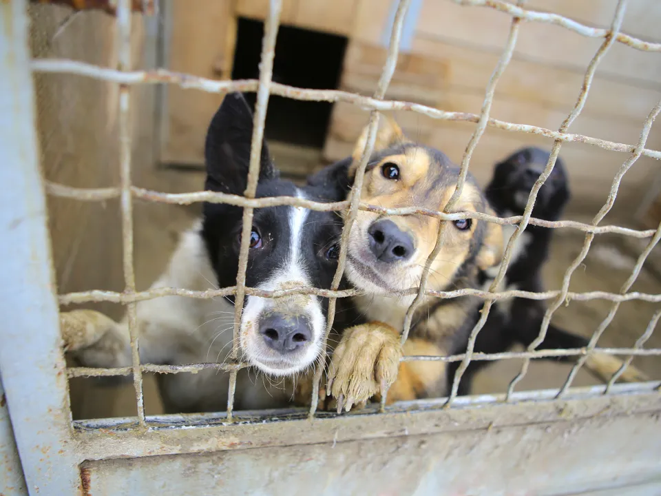 Фото: istockphoto.com/fortise