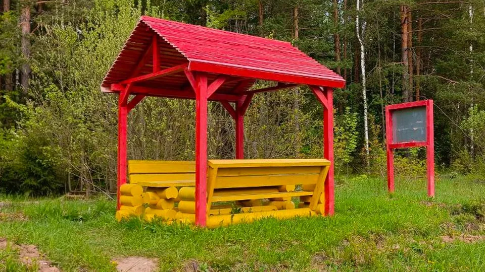 Фото: МедиаБанк Подмосковья/Рой Евгений Александрович