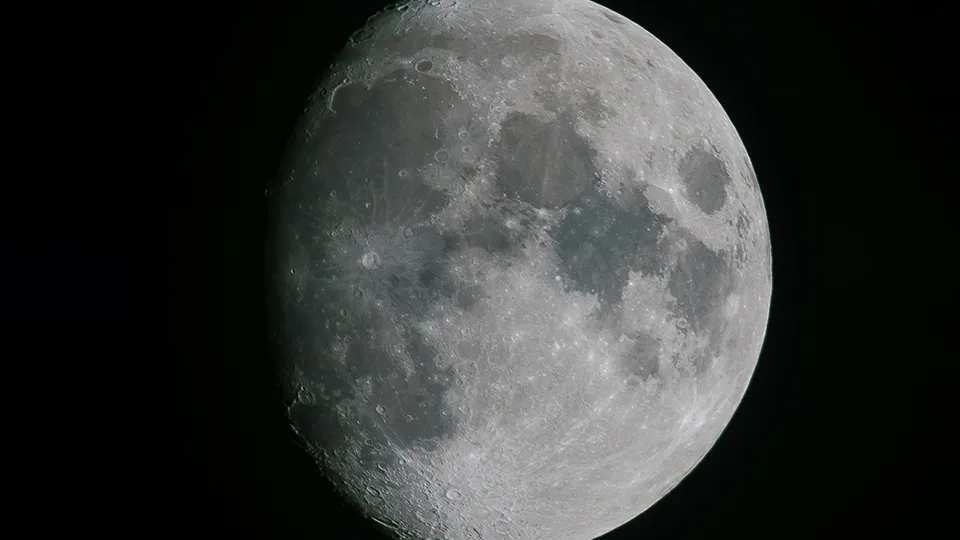 Фото: сommons.wikimedia/User:Colin