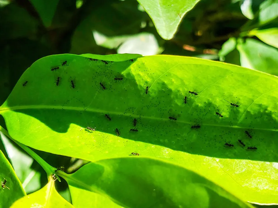 Фото: istockphoto.com