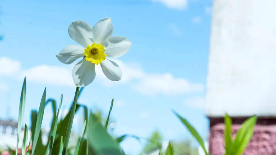 Фото: REGIONS/Наталия Надточая