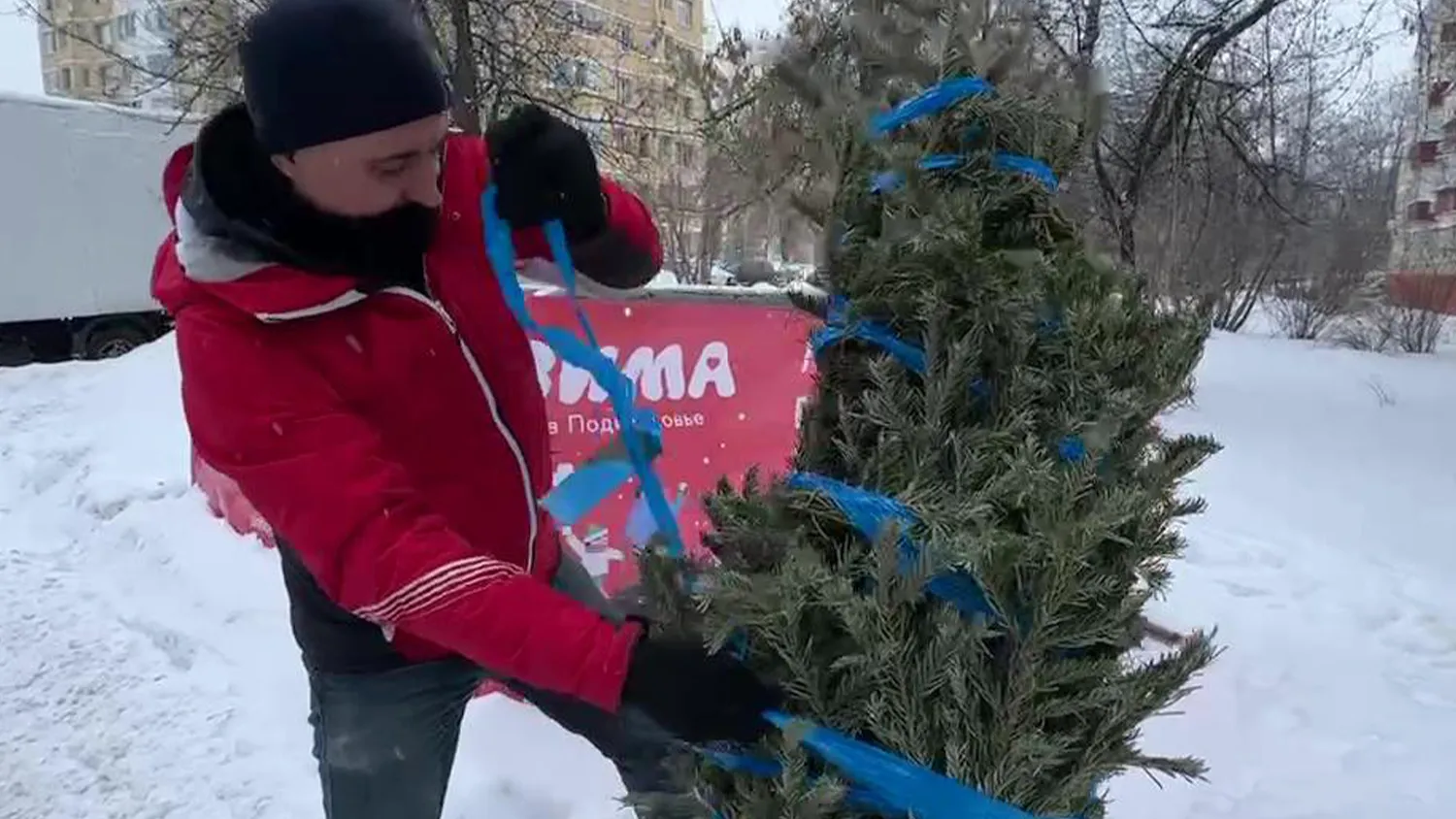 Фото: МедиаБанк Подмосковья/Ксения Казакова