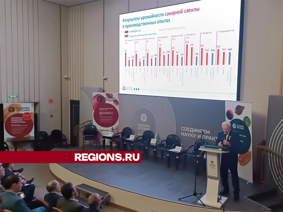 Фото: REGIONS/Роман Кутузов