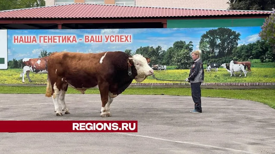 Фото: Мария Андрюхина