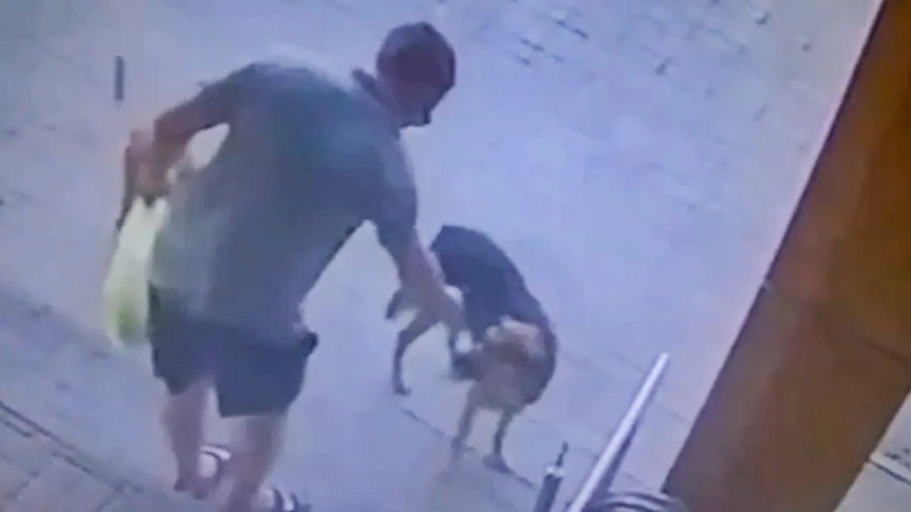 Скриншот видео