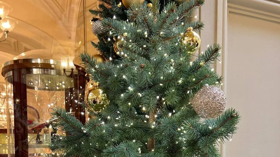 Фото: REGIONS/Елена Фурман