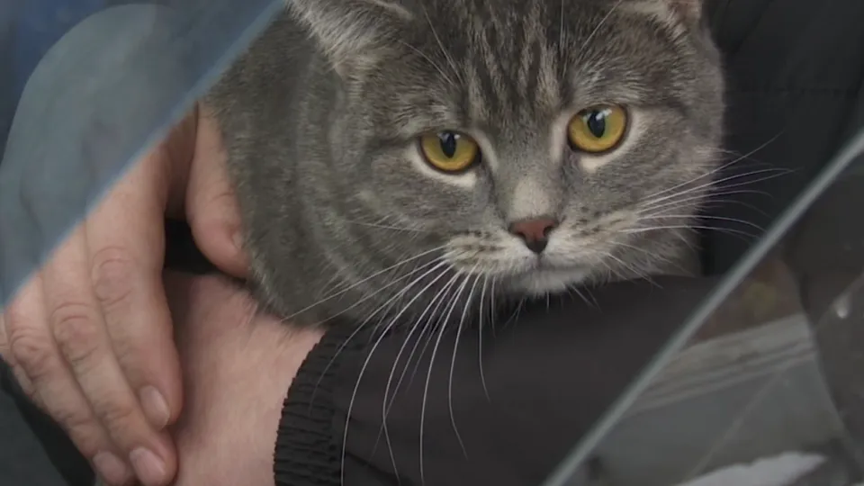 Фото: пресс-служба администрации г.о. Клин