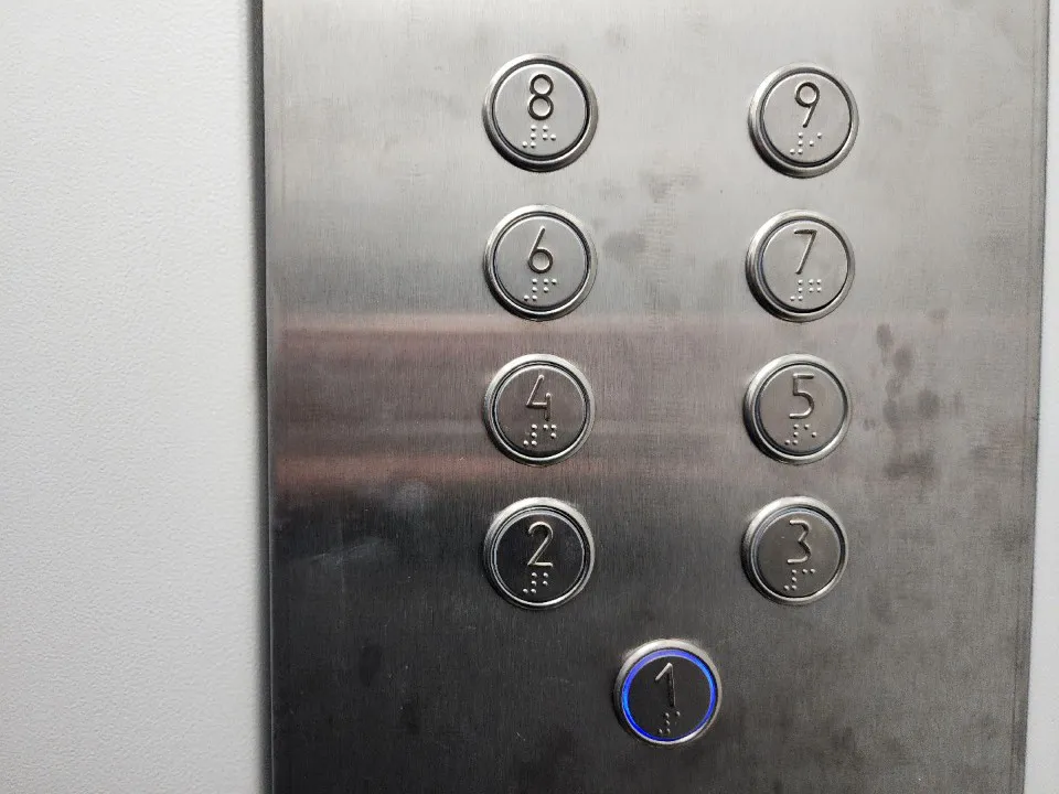 Фото: МедиаБанк Подмосковья/Анна Шолохова