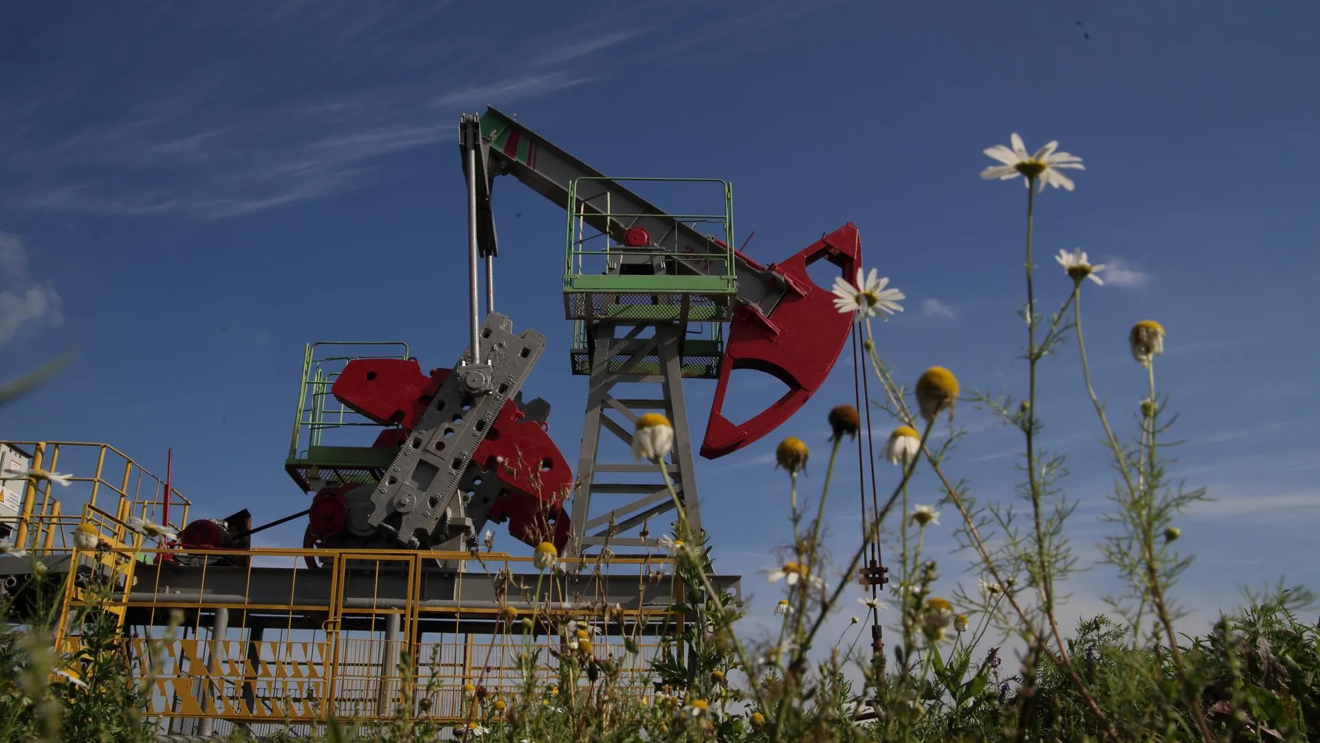 Zamir Usmanov/Global Look Press