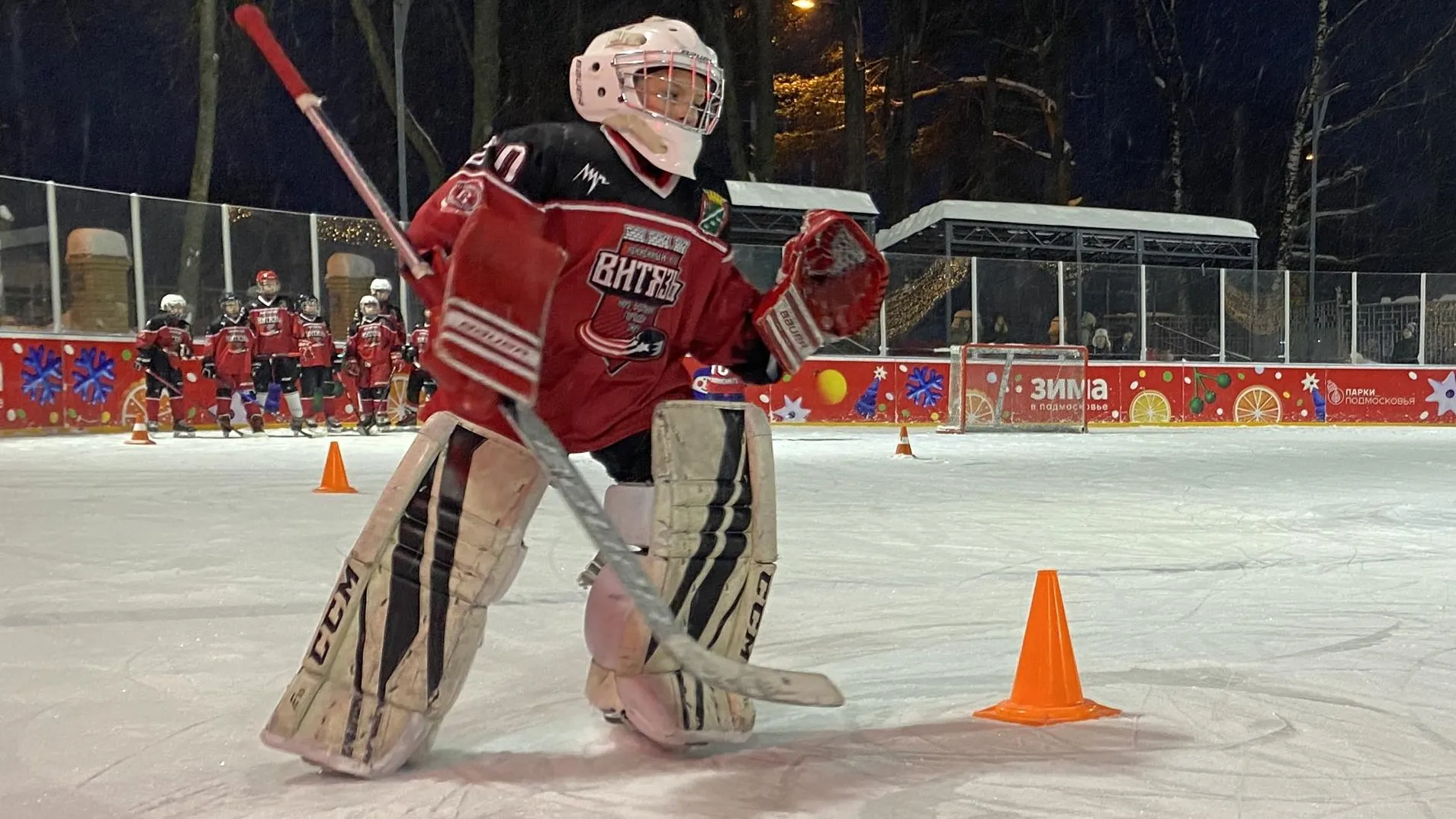 Анна Артюшина