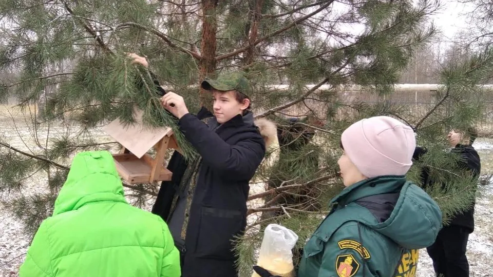 Фото: Комитет лесного хозяйства МО