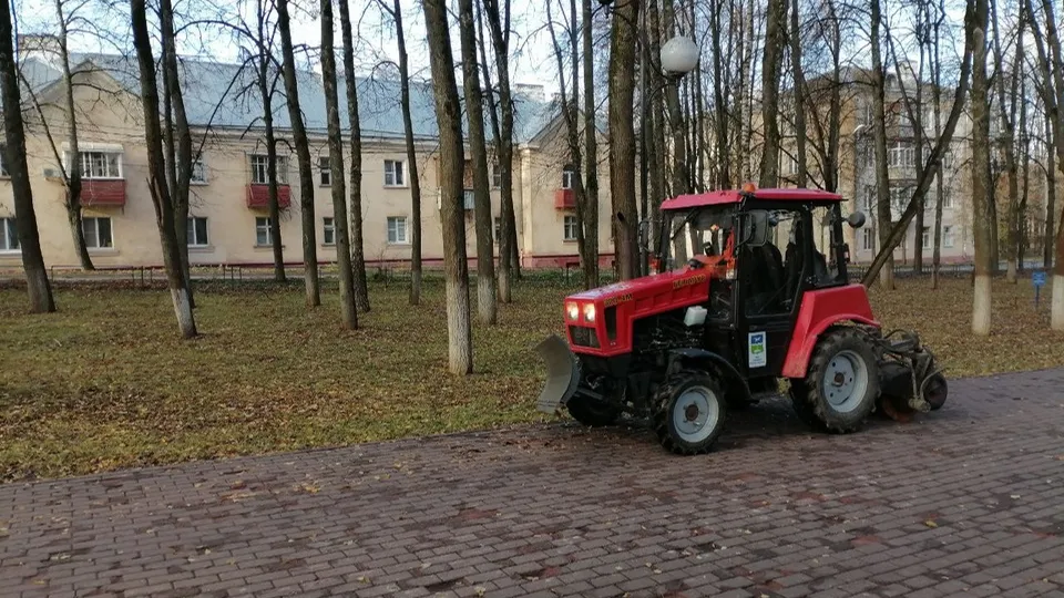 Фото: МедиаБанк Подмосковья/Дмитрий Алексеенко